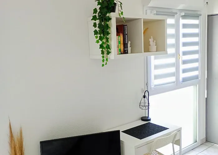 Cosy Gare דירה *